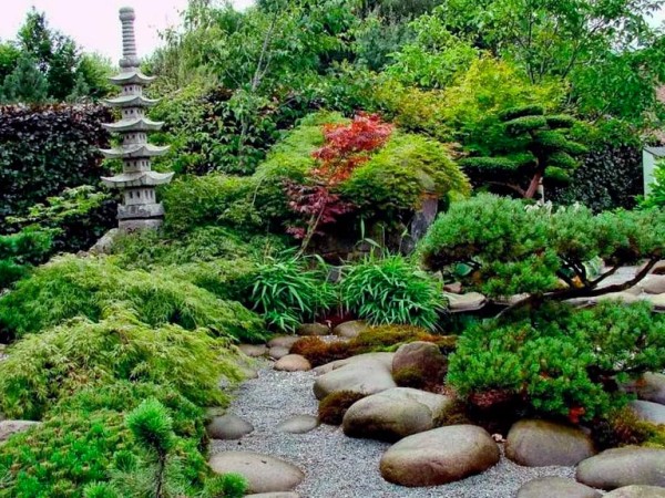 Китайский сад: основные элементы и приемы дизайна